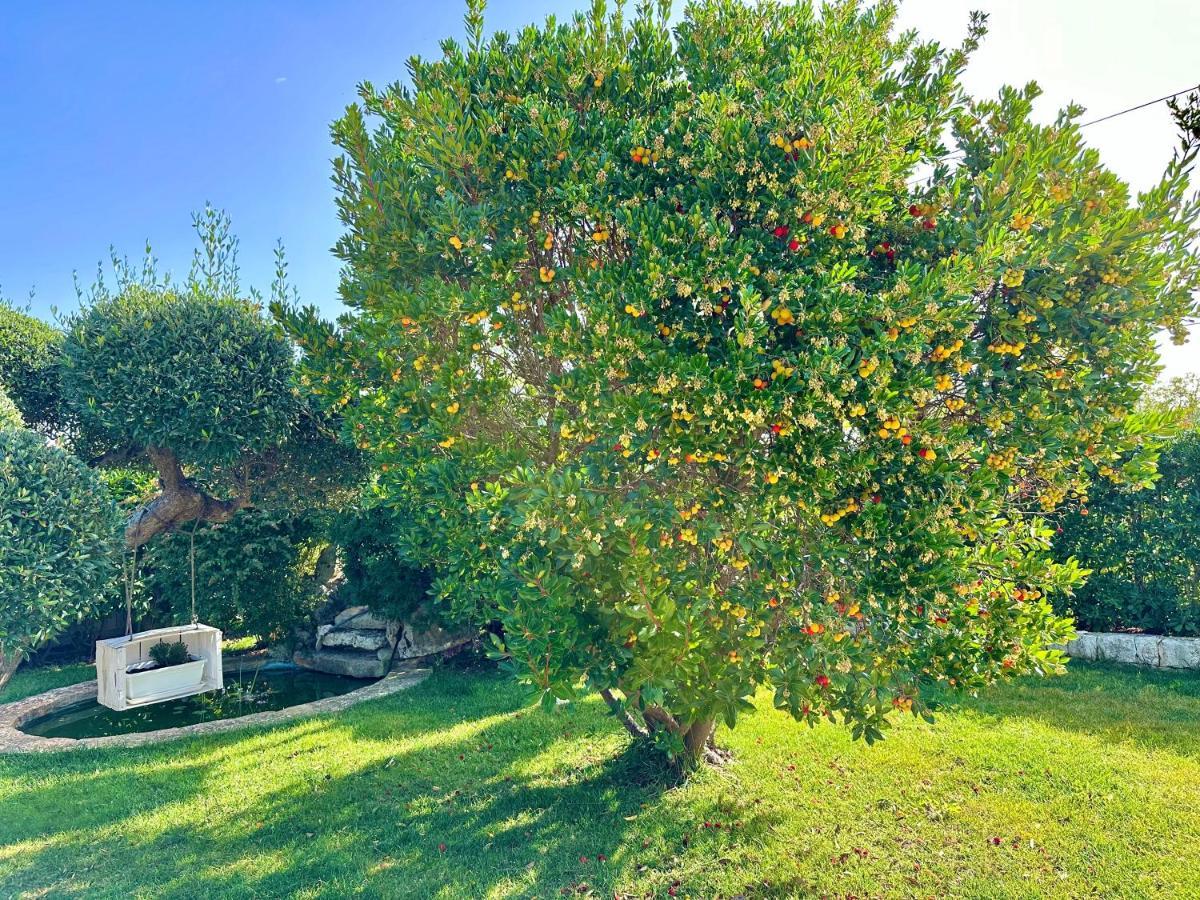 Vila Trullo Il Carrubo Alberobello Exteriér fotografie